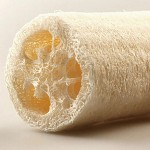 Natural loofah sponge, cylindrical shape, for bathroom, 10 x 6 cm